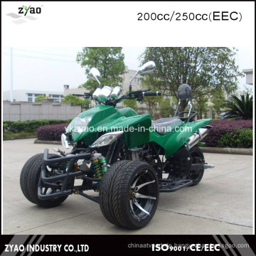 Erstellen Sie Ihre eigenen ATV Kits Racing Quad